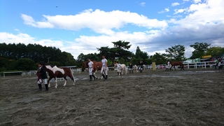 2018082703.JPG