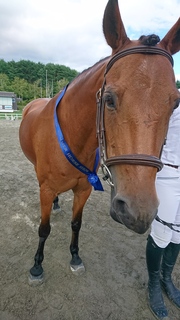 2018082704.JPG