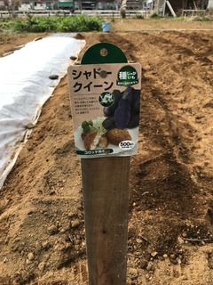27B7366B-6AB8-4F11-B26C-11AE6BD951B6.jpeg